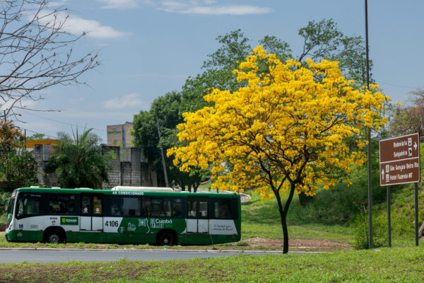 Tarifa Zero ônibus cuiabá